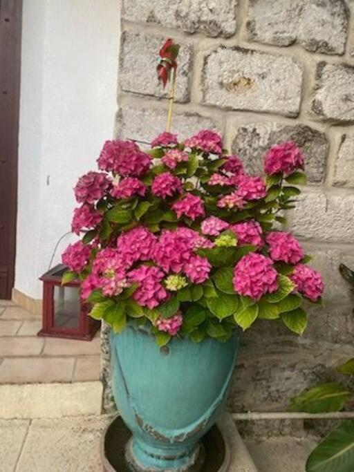 Charmant Appart Avec Jardin Aigues-Mortes Exterior photo